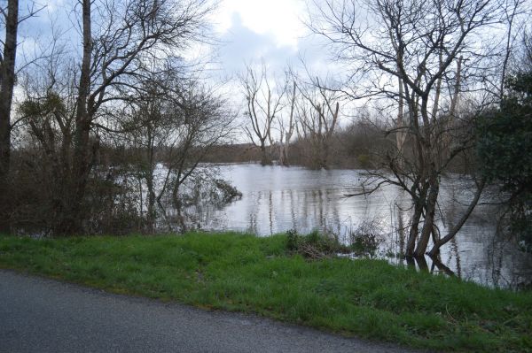 2014 Flooding around Redon DSC 2323