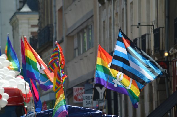 2014 Gay Pride Rennes DSC 2741