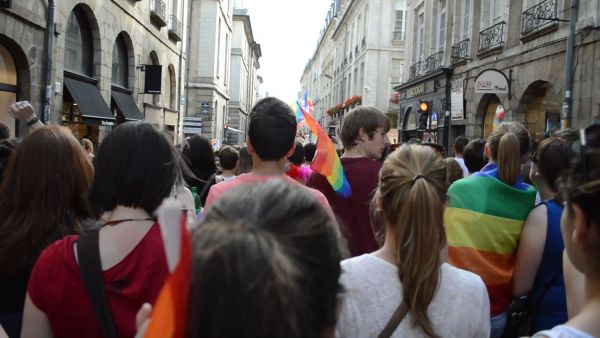 2014 Gay Pride Rennes DSC 2875