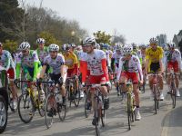 2013 Redon Cycle Races