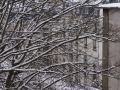 2013 Paris in the snow DSC02253