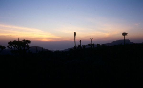 2012 Mount Elgon dawn