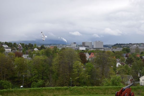 2016 Visit to Trondheim DSC 0264  2 
