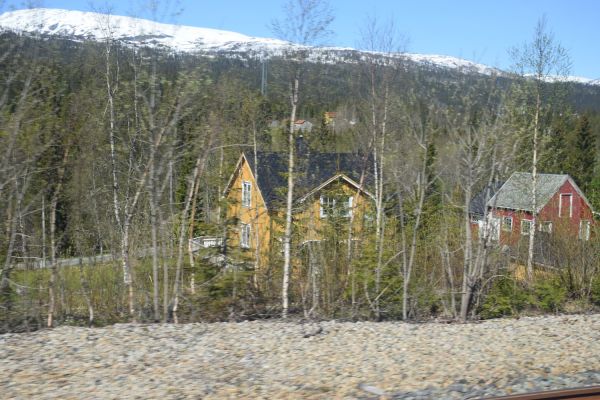 2016 Visit to Trondheim DSC 0590  2 