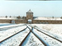 1986 Visit to Auschwitz