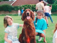 1987 Scouts Dog Show