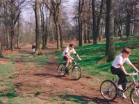 1990 Cubs Cross Country and Cylco Cross Sherbrooke
