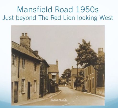 The Lion Mansfield Road