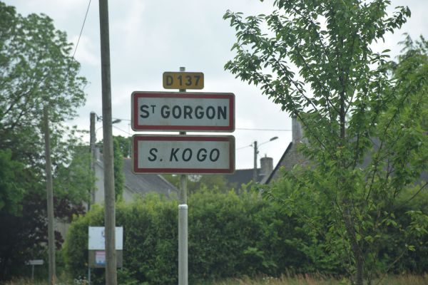 2015 St Gorgon DSC 0324